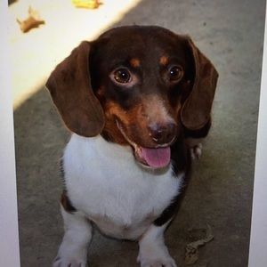 Meet your Posher, Annette